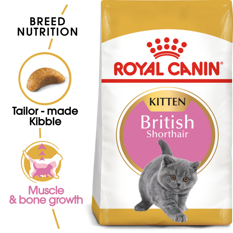 Royal Canin British Shorthair Kitten Cat Food  (2Kg)