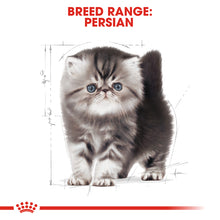 Load image into Gallery viewer, Royal Canin Persian Kitten (2Kg)