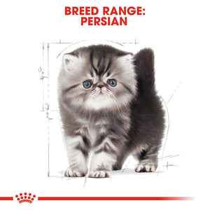 Royal Canin Persian Kitten (2Kg)