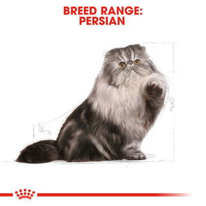 Royal Canin Persian Cat Food (2Kg)