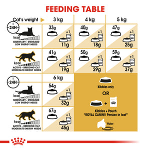 Royal Canin Persian Cat Food (2Kg)