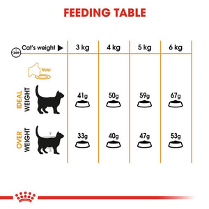 Royal Canin Hair and Skin Cat Food  (2Kg)