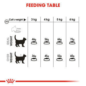 Royal Canin Oral Care Cat Food (1.5Kg)