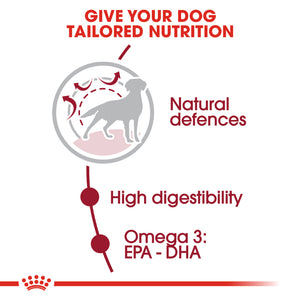 Royal Canin Medium Adult Dog Food (4-10-15Kg)