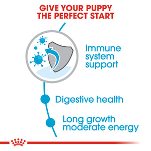 Royal Canin Maxi Puppy Dog Food (4-10Kg)