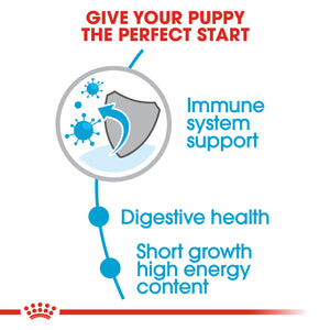 Royal Canin Medium Puppy Dog Food (4-15Kg)