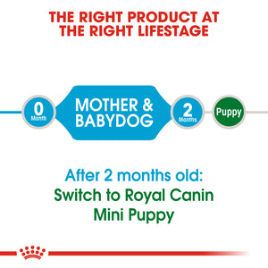 Royal Canin Mini Starter Dog Food (3Kg)