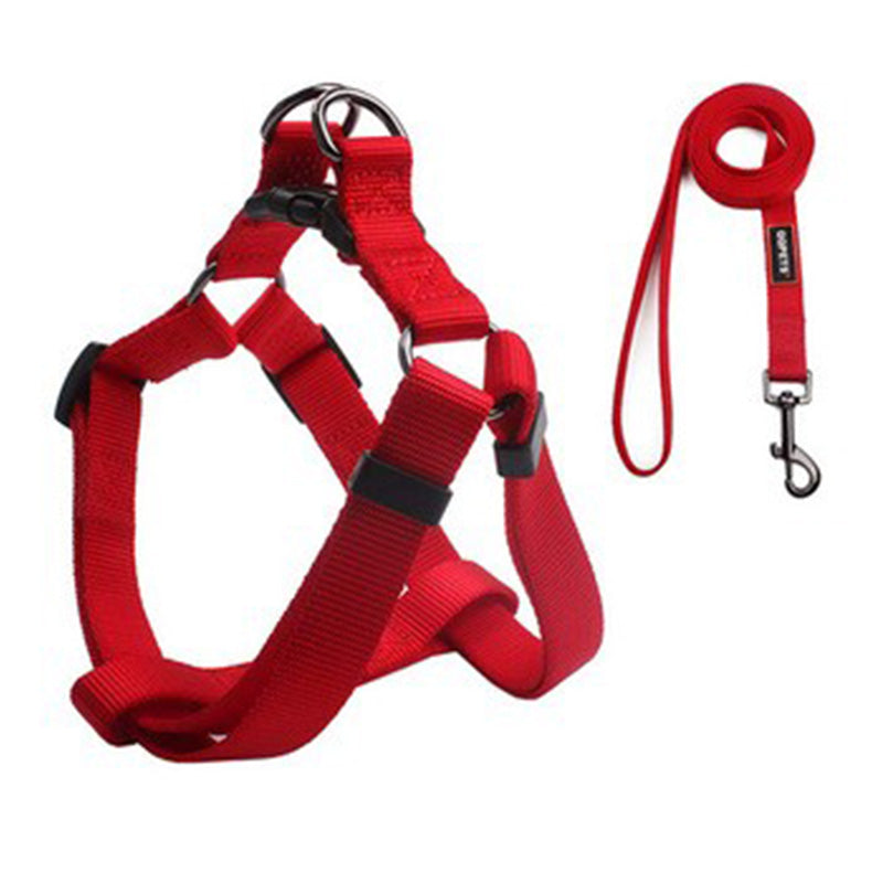 WALDO Harness & Leash