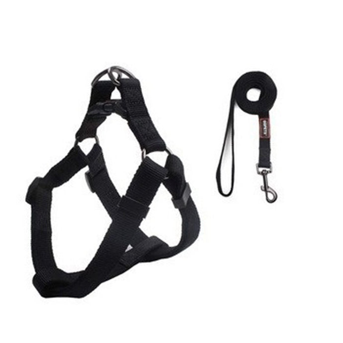 BOOZER Harness & Leash