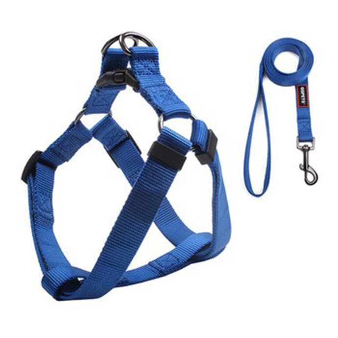 SKY Harness & Leash